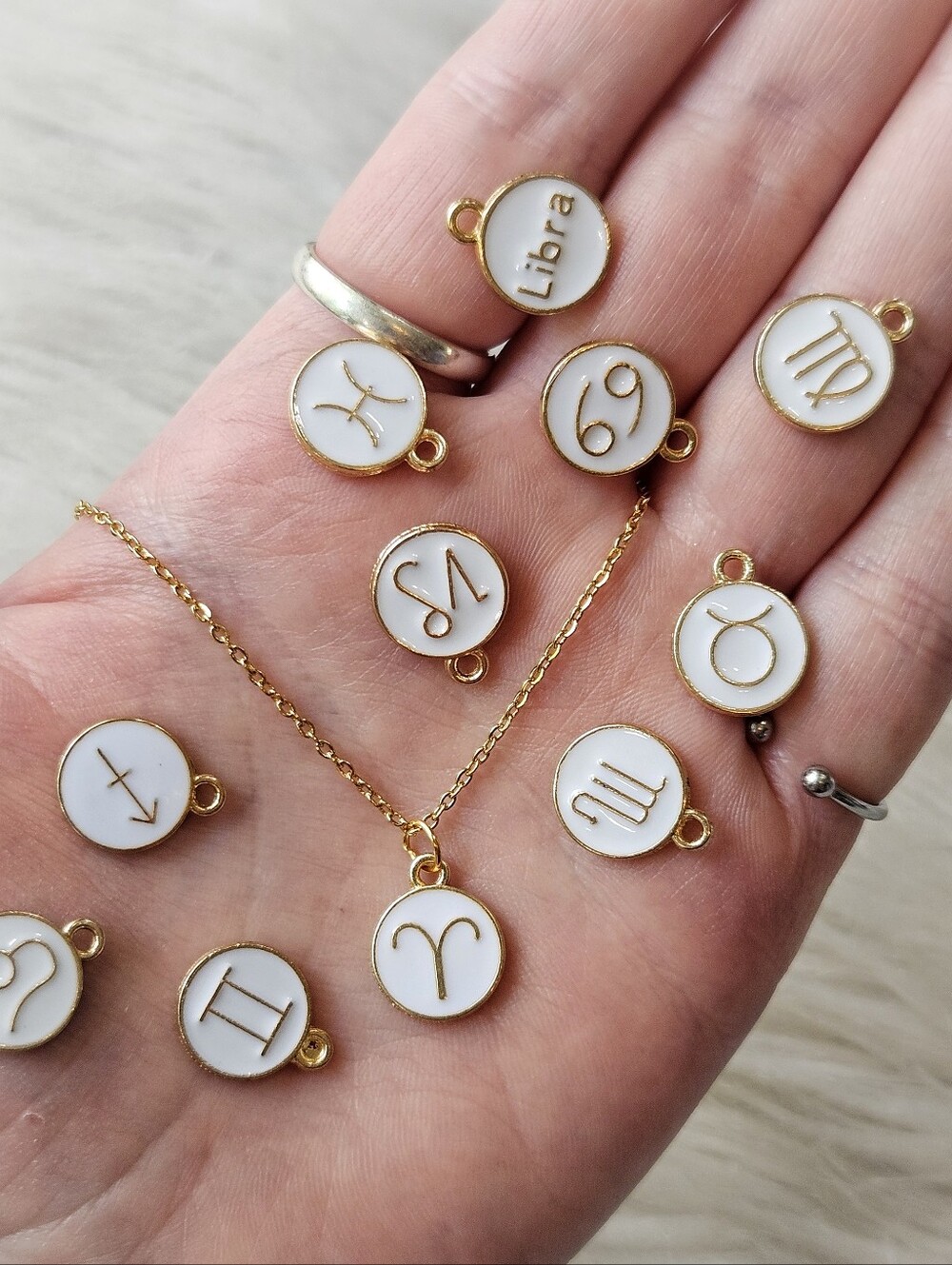 Zodiac Stainless Steel Necklace